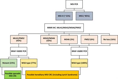 Clinicopathological characteristics of high microsatellite instability/mismatch repair-deficient colorectal cancer: A narrative review